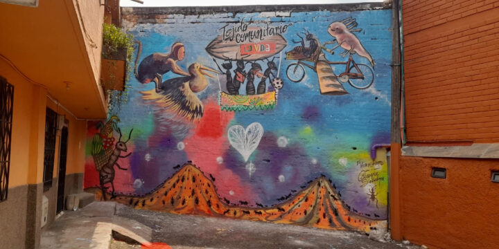 Le dimos color a la solidaridad